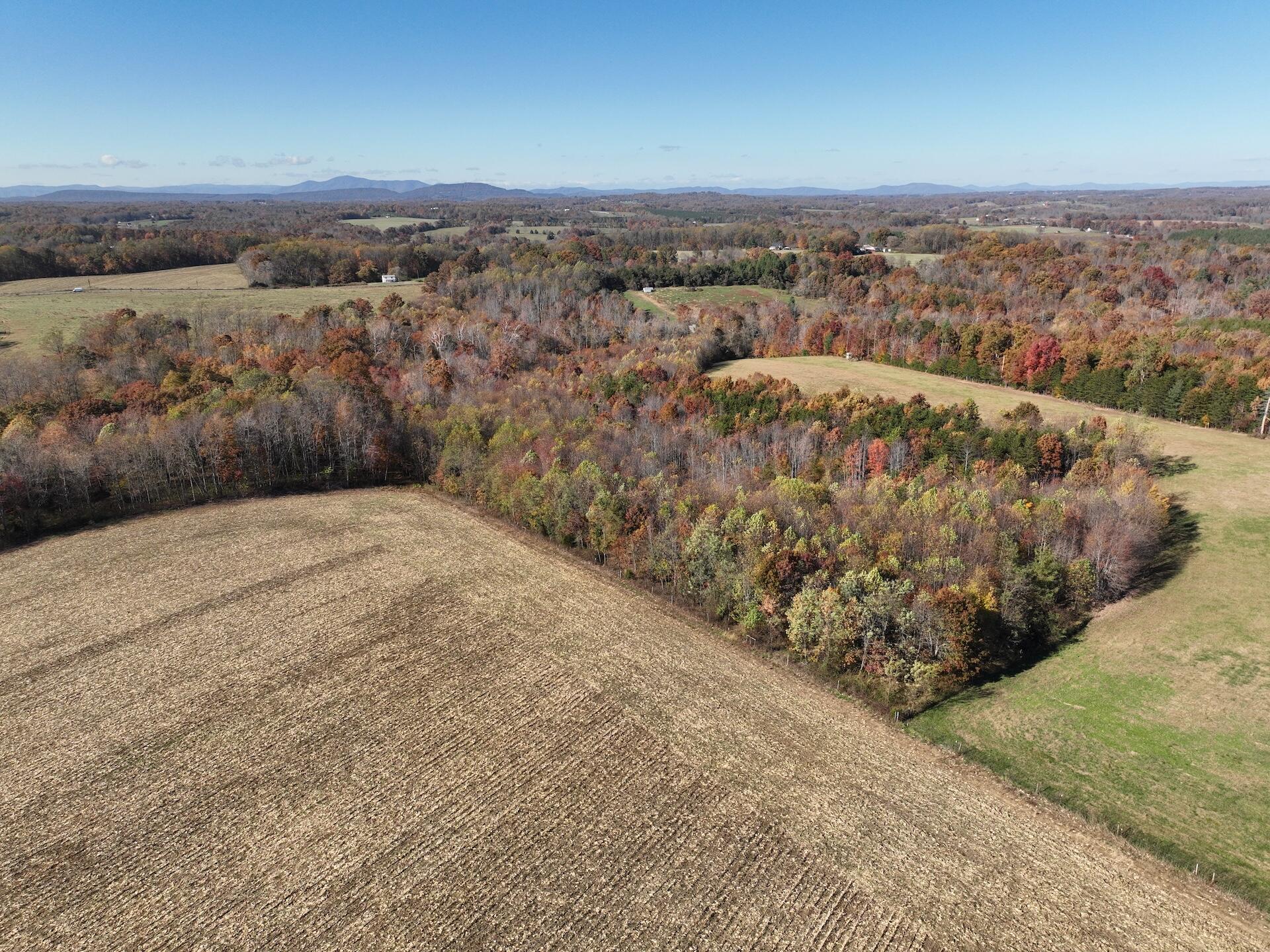 0 Beulah Road Rocky Mount, VA 24151 - Photo 69 of 90 Dykstra - 33