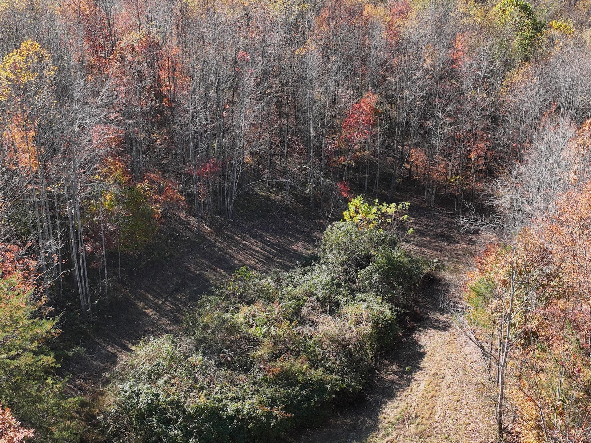 0 Beulah Road Rocky Mount, VA 24151 - Photo 7 of 90 7