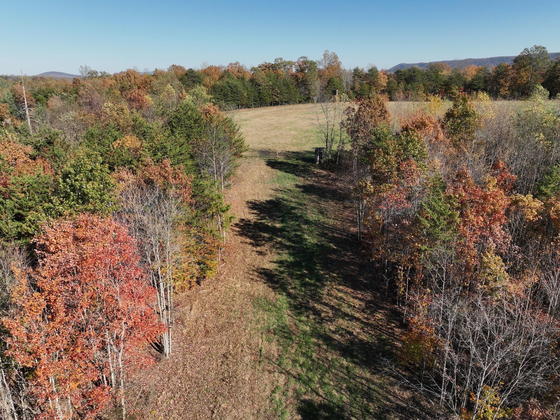 0 Beulah Road Rocky Mount, VA 24151 - Photo 72 of 90 Dykstra - 30