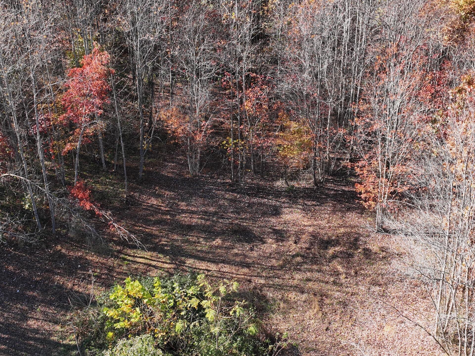 0 Beulah Road Rocky Mount, VA 24151 - Photo 73 of 90 Dykstra - 29