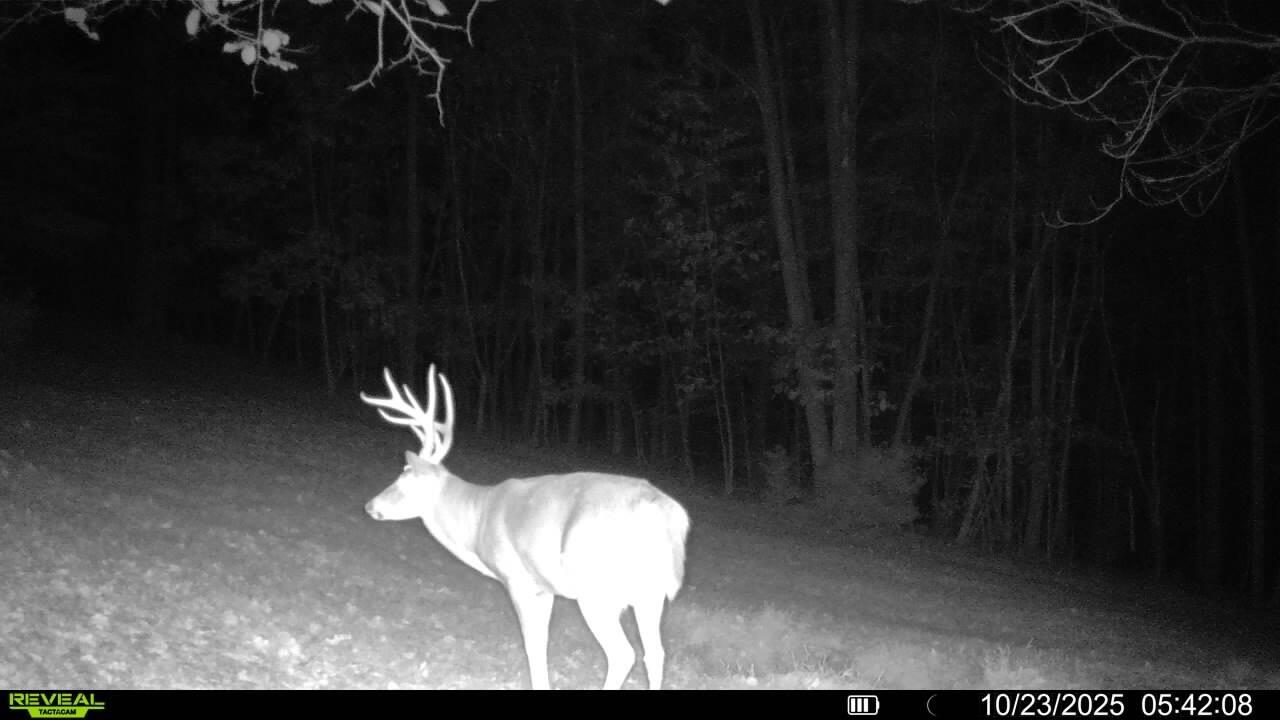 0 Beulah Road Rocky Mount, VA 24151 - Photo 8 of 90 8