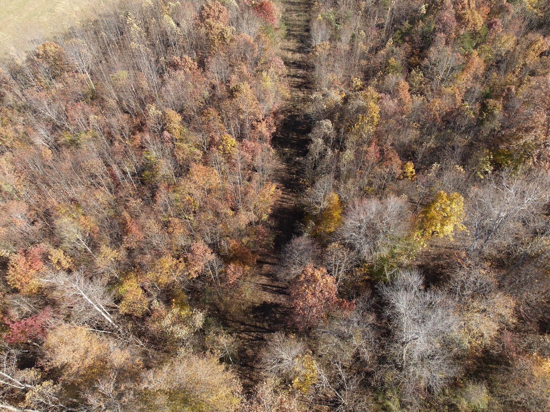 0 Beulah Road Rocky Mount, VA 24151 - Photo 85 of 90 Dykstra - 11