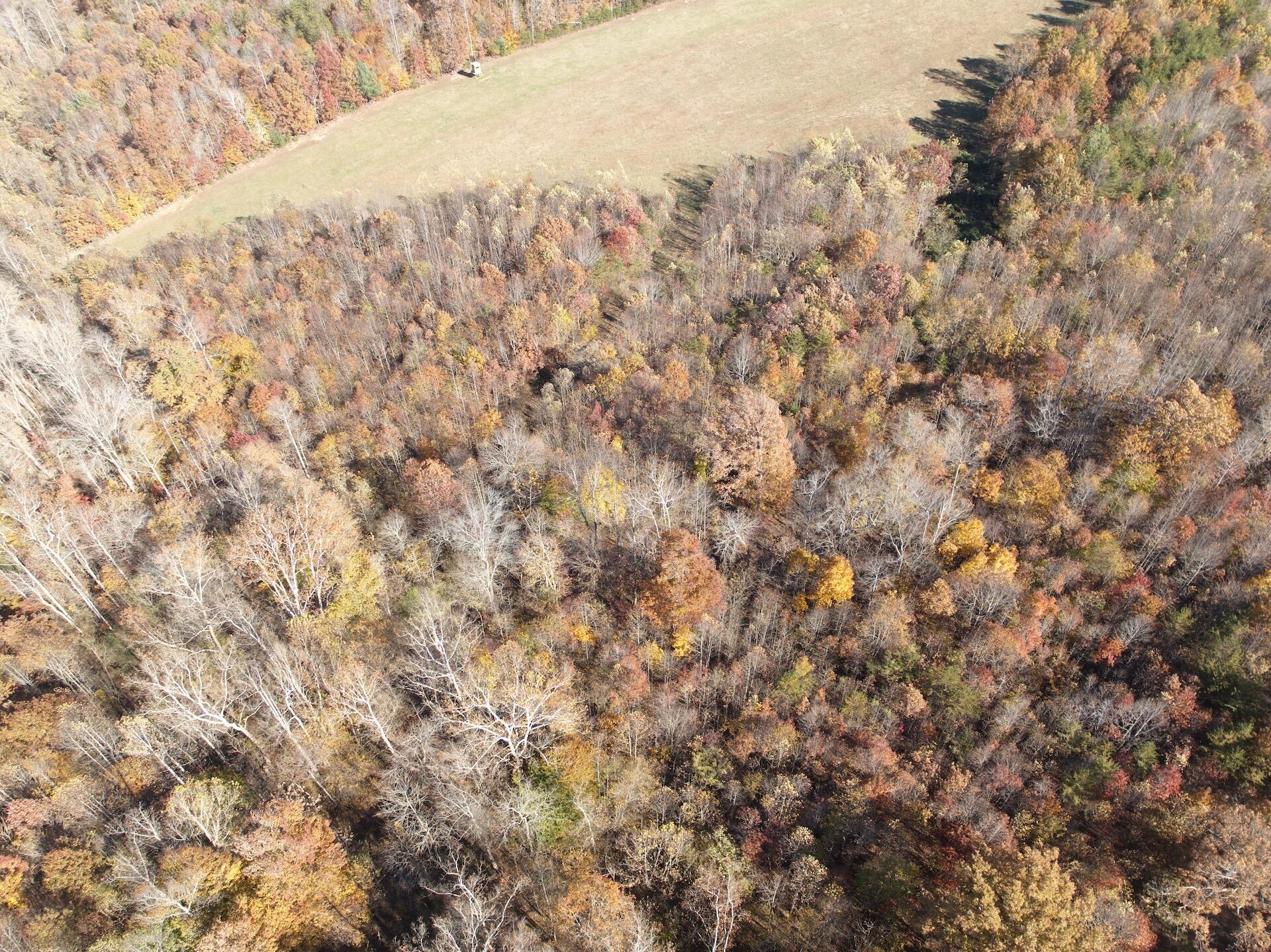 0 Beulah Road Rocky Mount, VA 24151 - Photo 87 of 90 Dykstra - 9