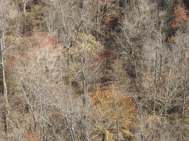 $399,000 | 0 Beulah Road, Rocky Mount, VA 24151