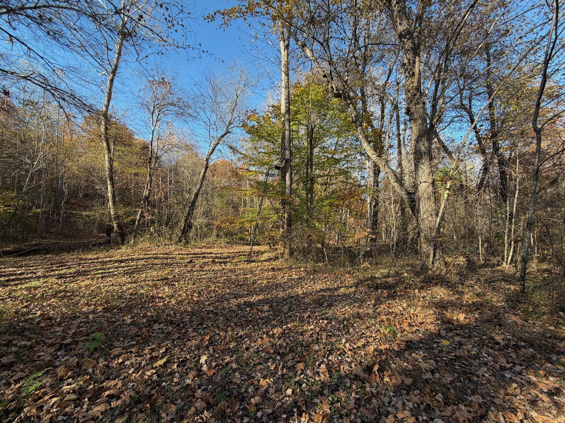 0 Beulah Road Rocky Mount, VA 24151 - Photo 10 of 90 10