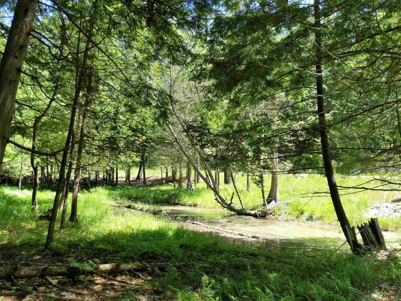 Burnt Mill Road Interlochen, MI 49643 - Photo 23 of 25 1863508-22.JPG