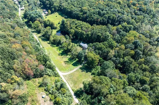 view of a forest with a houses