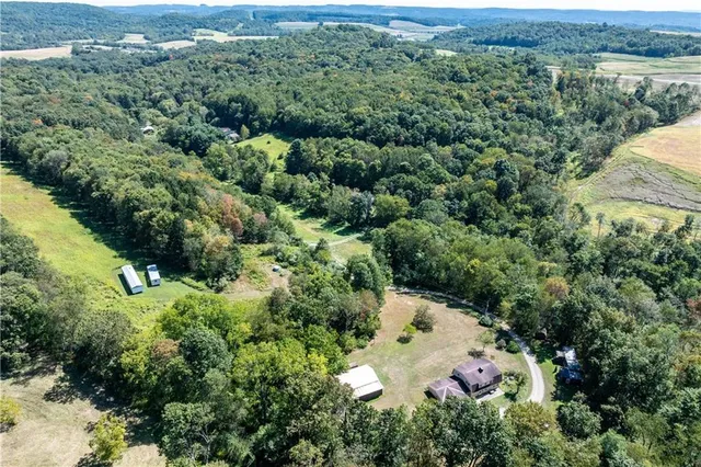 an aerial view of a house with a yard and large trees