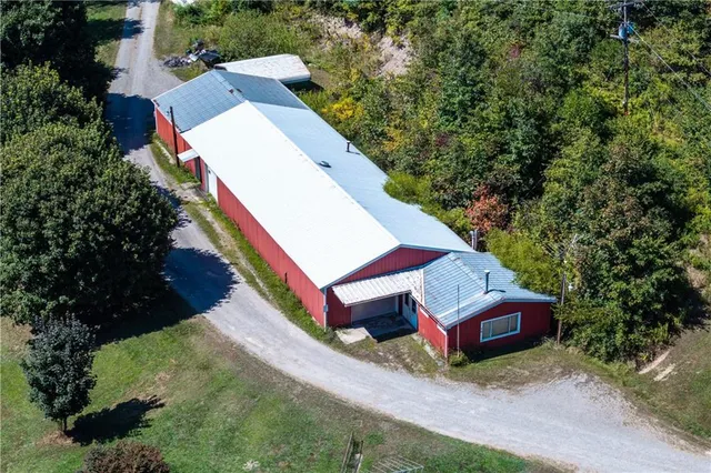 a view of a garden with a tree