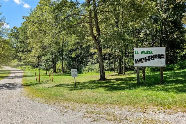 a view of park with trees