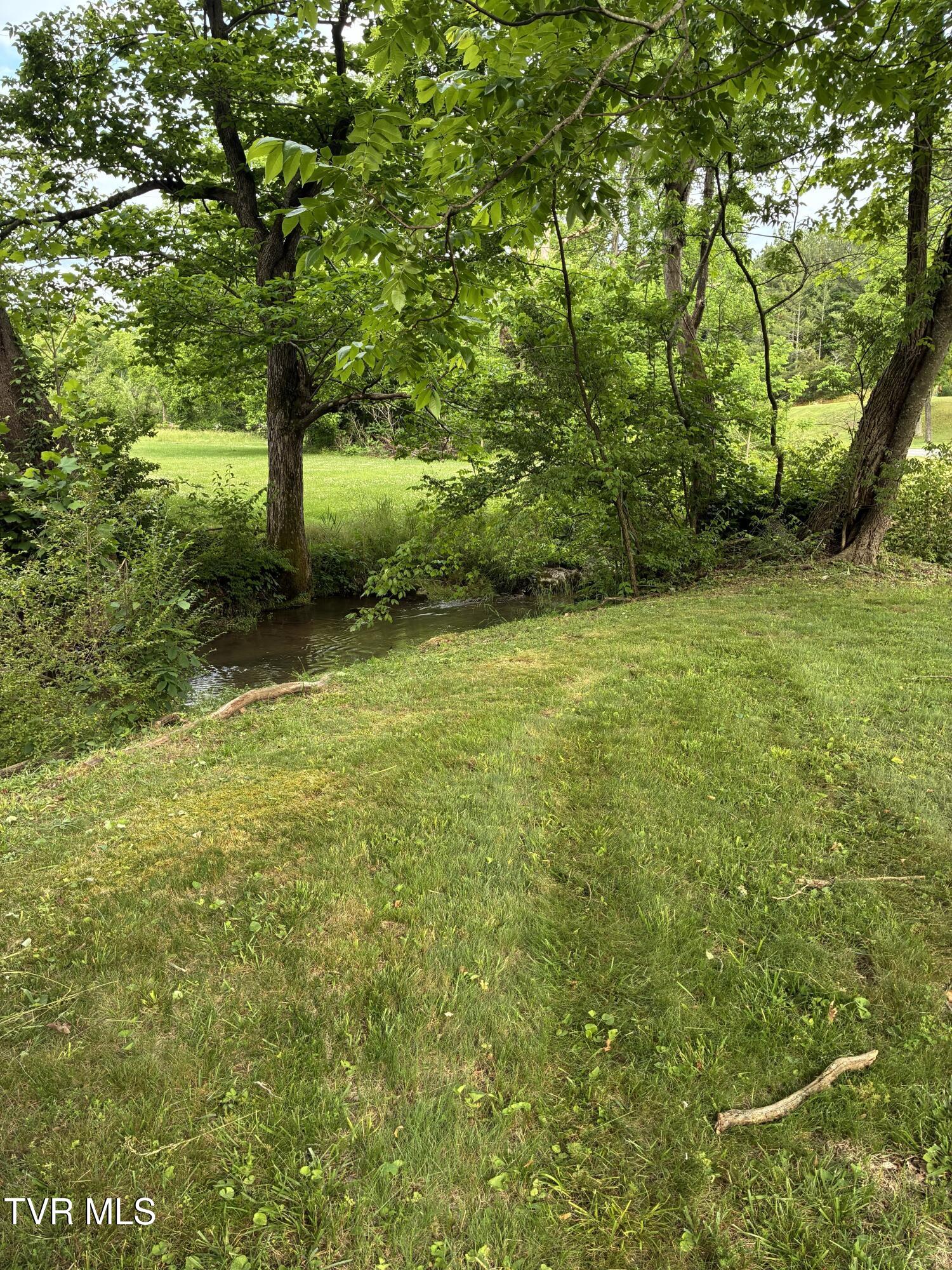 940 Middle Creek Road Afton, TN 37616 - Photo 14 of 80 Landscape 13
