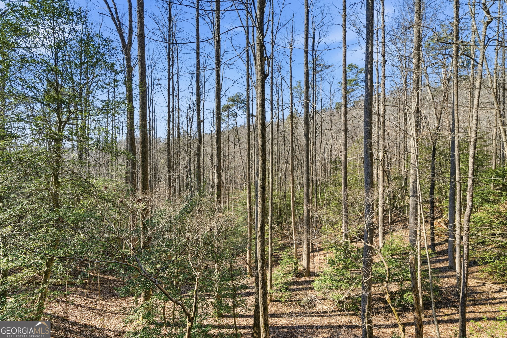 266 Chimney Rock Road, Unit 462 Blue Ridge, GA 30513 - Photo 29 of 37