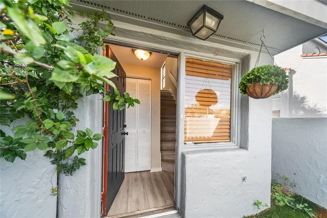a view of a porch with a potted plant