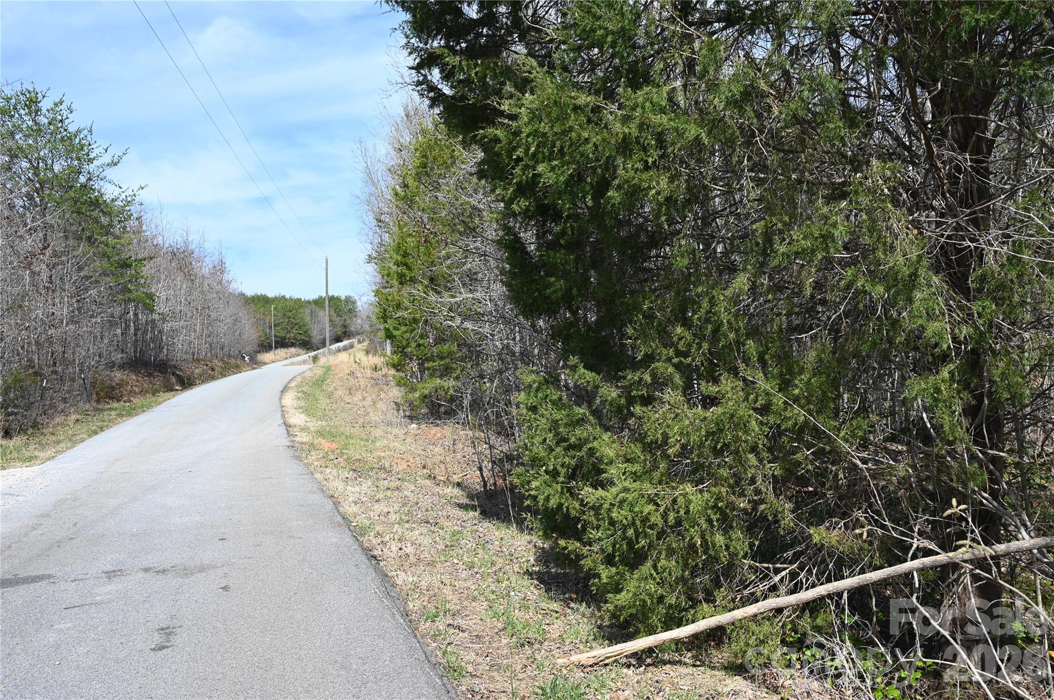 0 East Bells Branch Road, Unit 4 Blacksburg, SC 29702 - Photo 2 of 4 a view of a yard with large trees