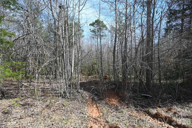 $37,500 | 0 East Bells Branch Road, Unit 4, Blacksburg, SC 29702