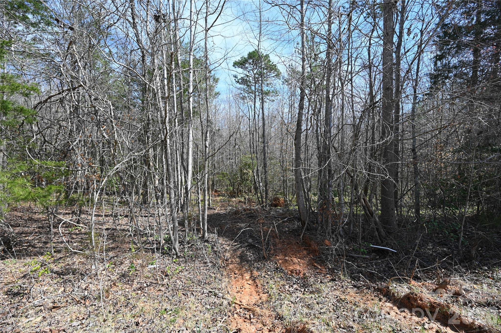 0 East Bells Branch Road, Unit 4 Blacksburg, SC 29702 - Photo 3 of 4 a backyard of a house with lots of green space