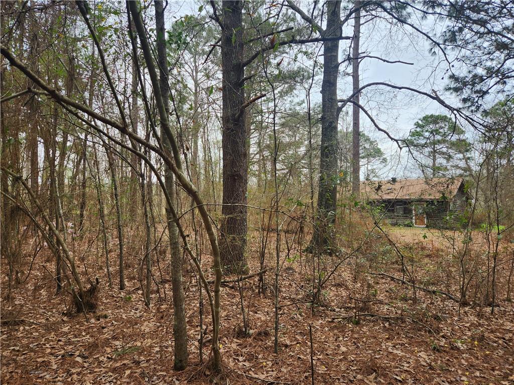 62381 Graham Road Amite, LA 70422 - Photo 16 of 18