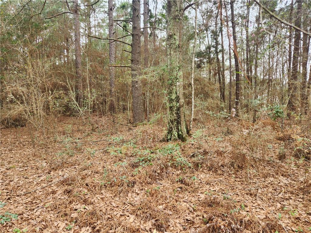 62381 Graham Road Amite, LA 70422 - Photo 18 of 18