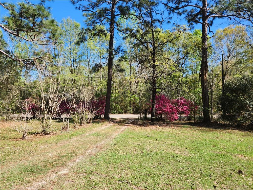 62381 Graham Road Amite, LA 70422 - Photo 5 of 18