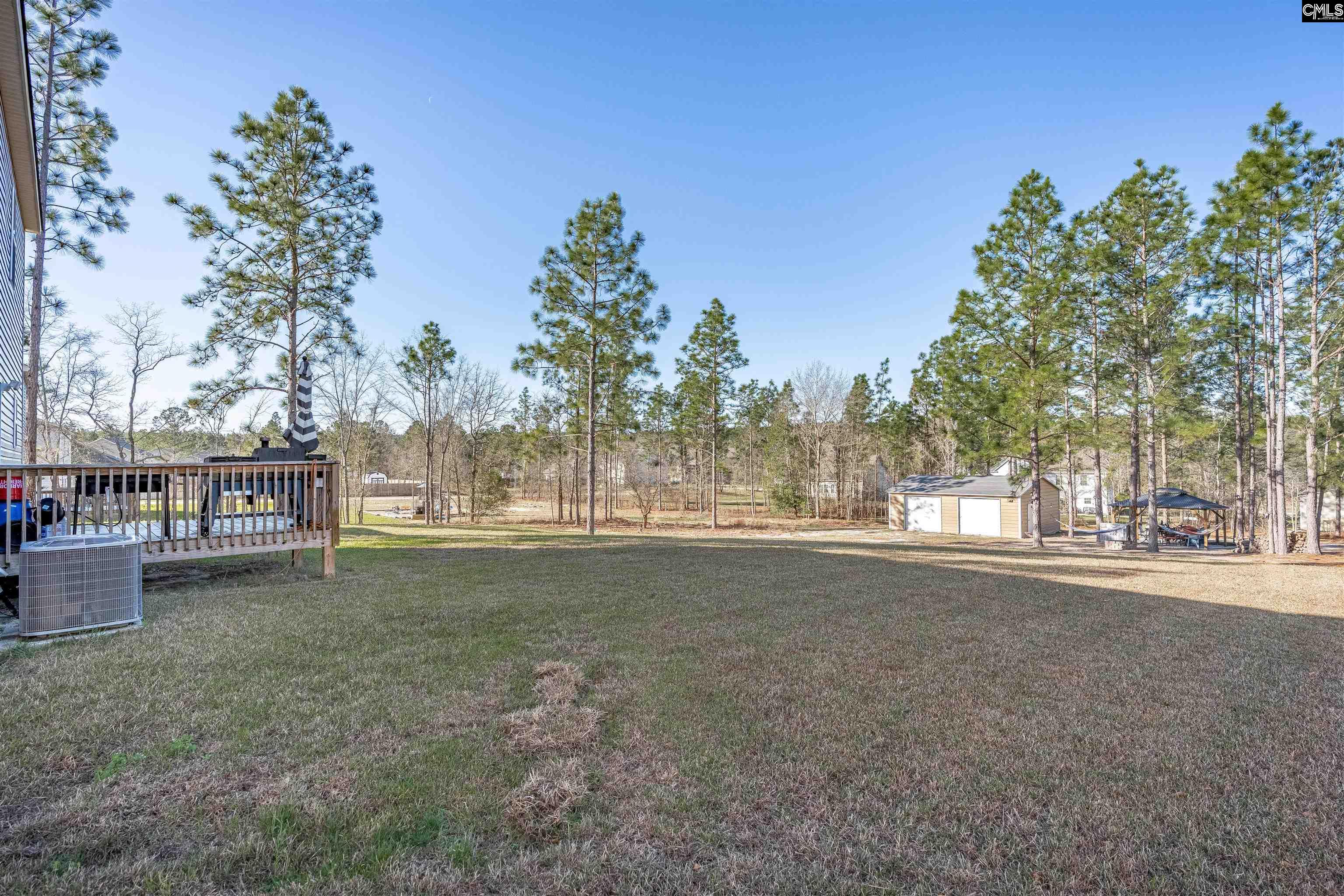 652 Rose Quartz Lane Lexington, SC 29073 - Photo 51 of 51