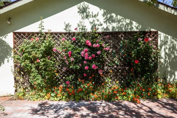 $4,488,000 | 800 Loyola Drive, Los Altos, CA 94024