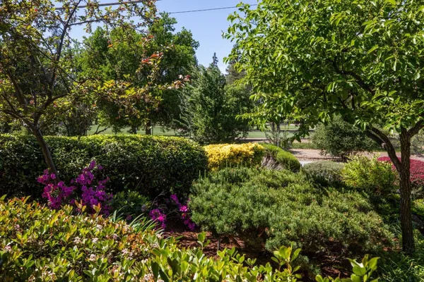 $4,488,000 | 800 Loyola Drive, Los Altos, CA 94024