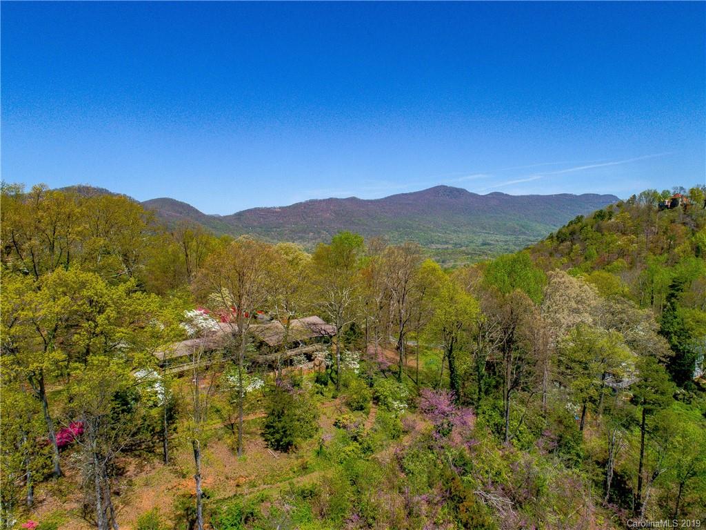 31 Darnall Lane Tryon, NC 28782 - Photo 3 of 33 Gallery Image 3