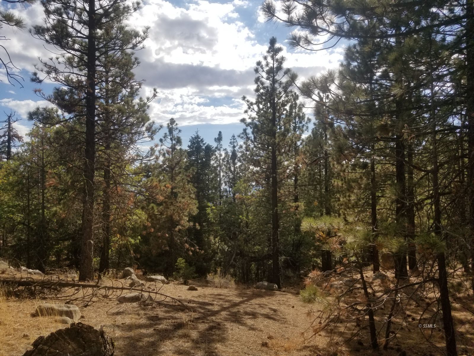 Piute Pines Caliente, CA 93518 - Photo 4 of 26