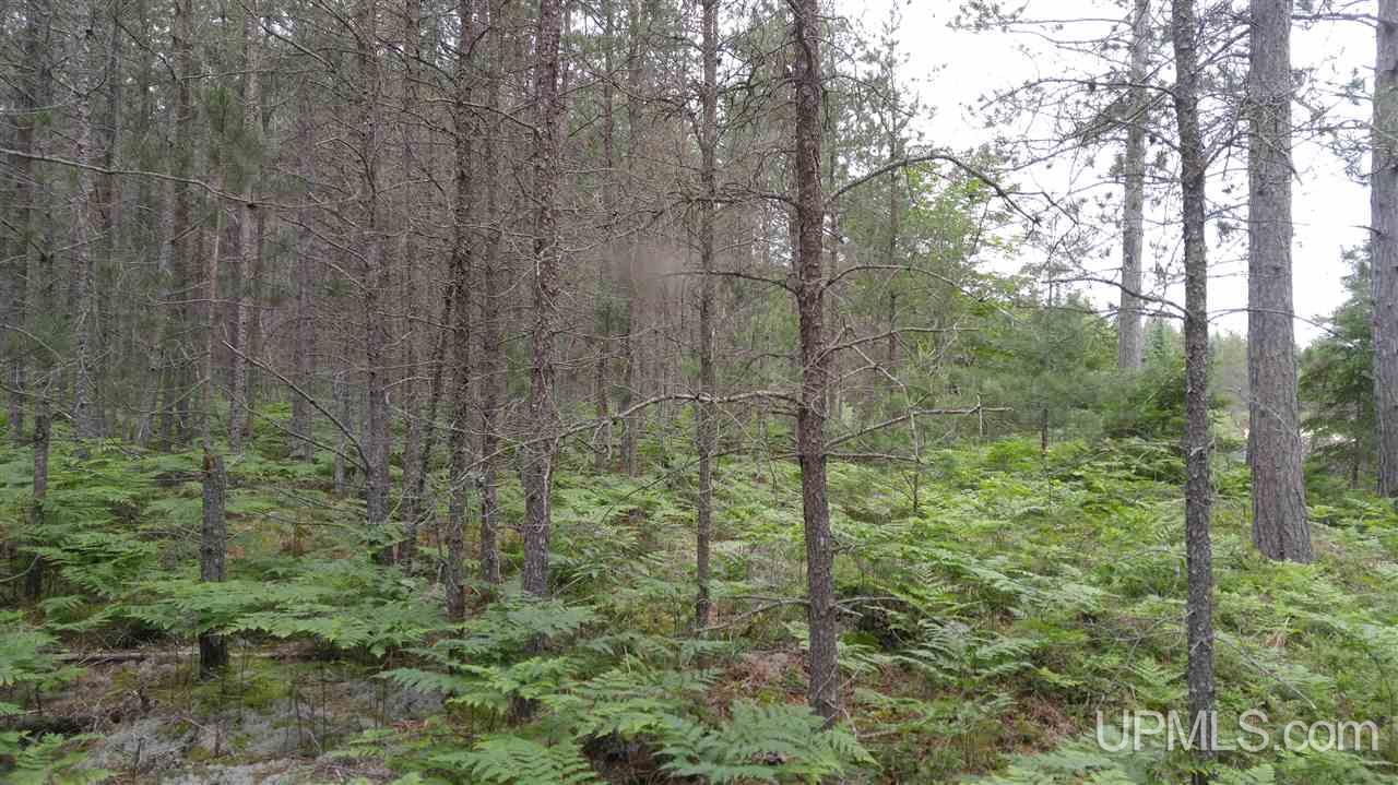 13.44-acres Stutts Road Manistique, MI 49854 - Photo 8 of 19