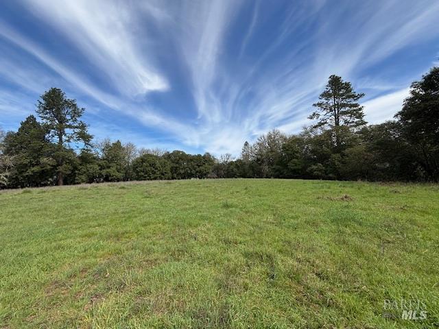 0 East Side Road Willits, CA 95490 - Photo 14 of 14 a view of a field of grass and trees