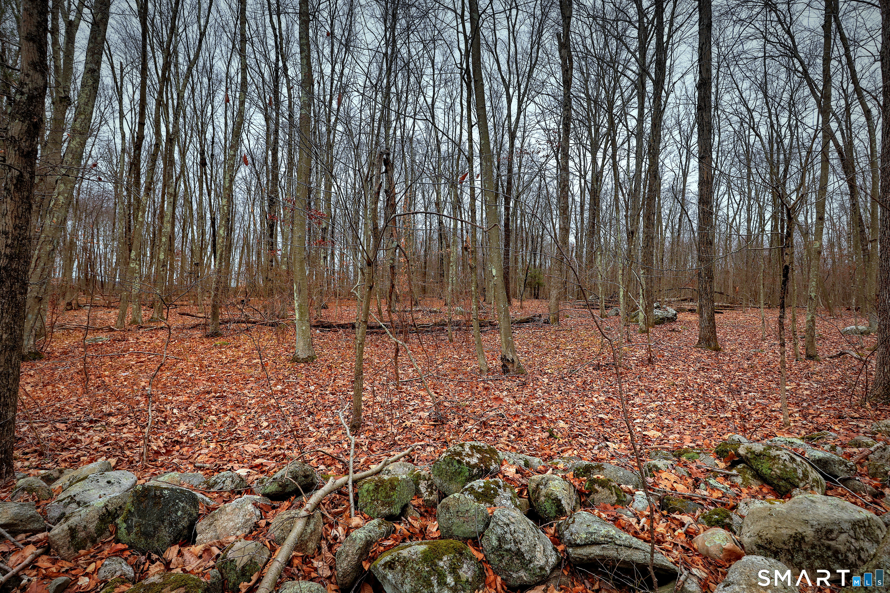 275-291 Hammertown Road Monroe, CT 06468 - Photo 12 of 17