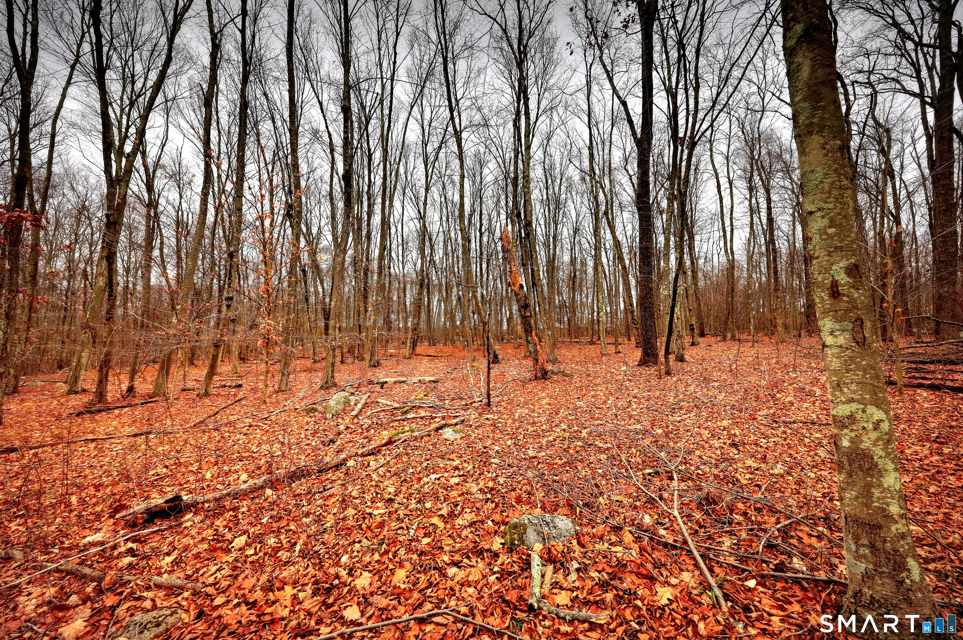 275-291 Hammertown Road Monroe, CT 06468 - Photo 13 of 17