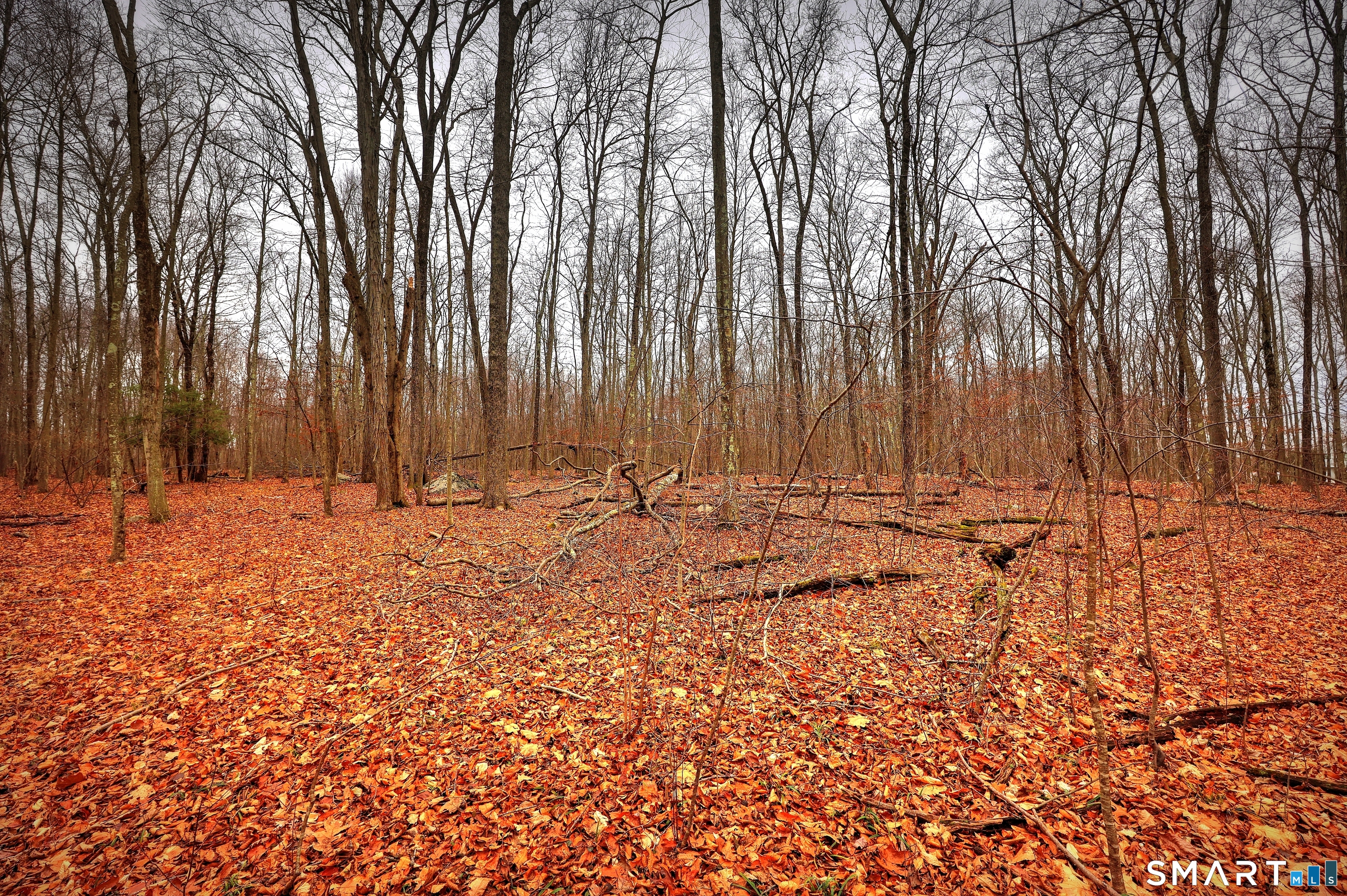 275-291 Hammertown Road Monroe, CT 06468 - Photo 14 of 17