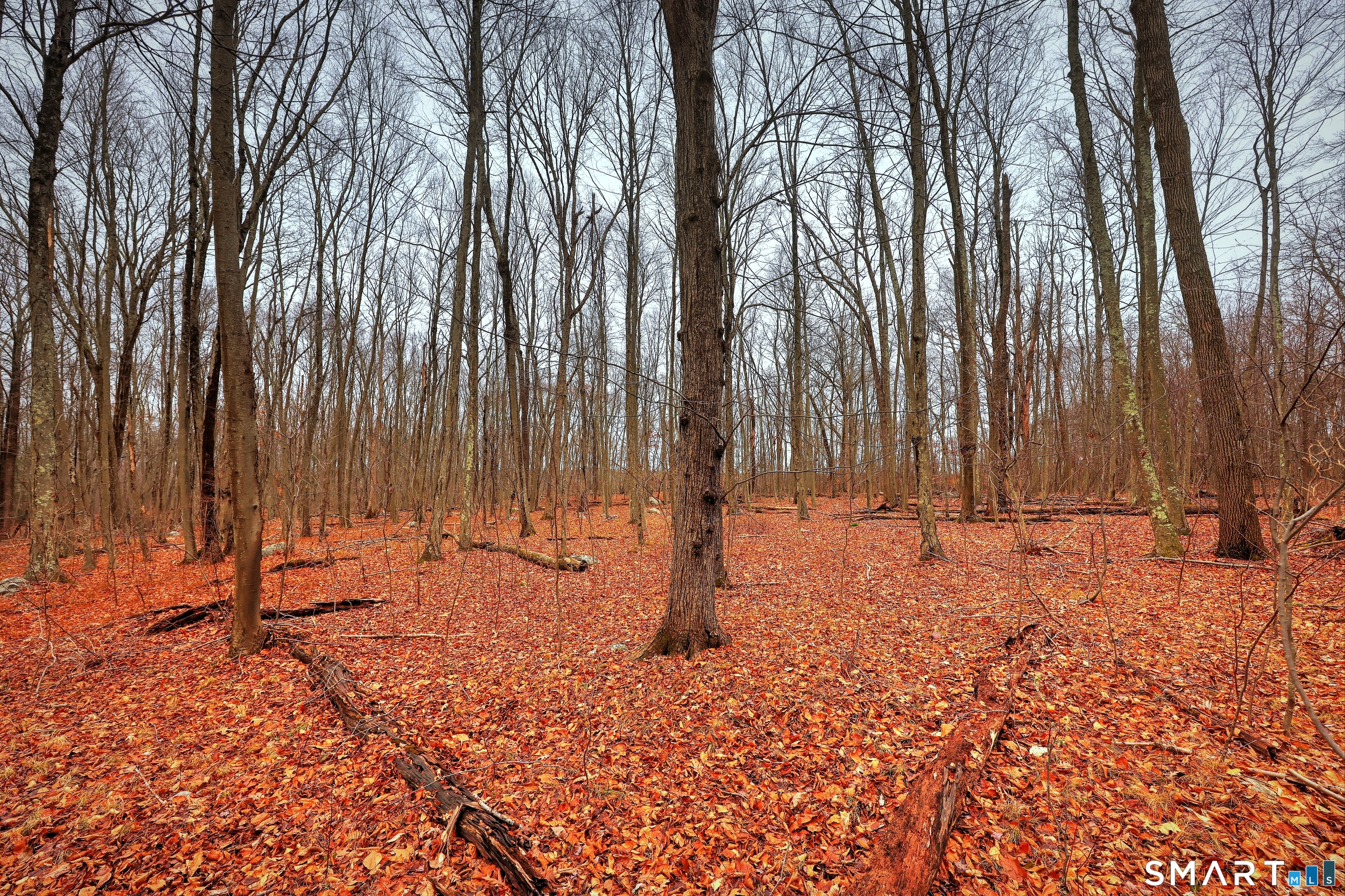 275-291 Hammertown Road Monroe, CT 06468 - Photo 15 of 17