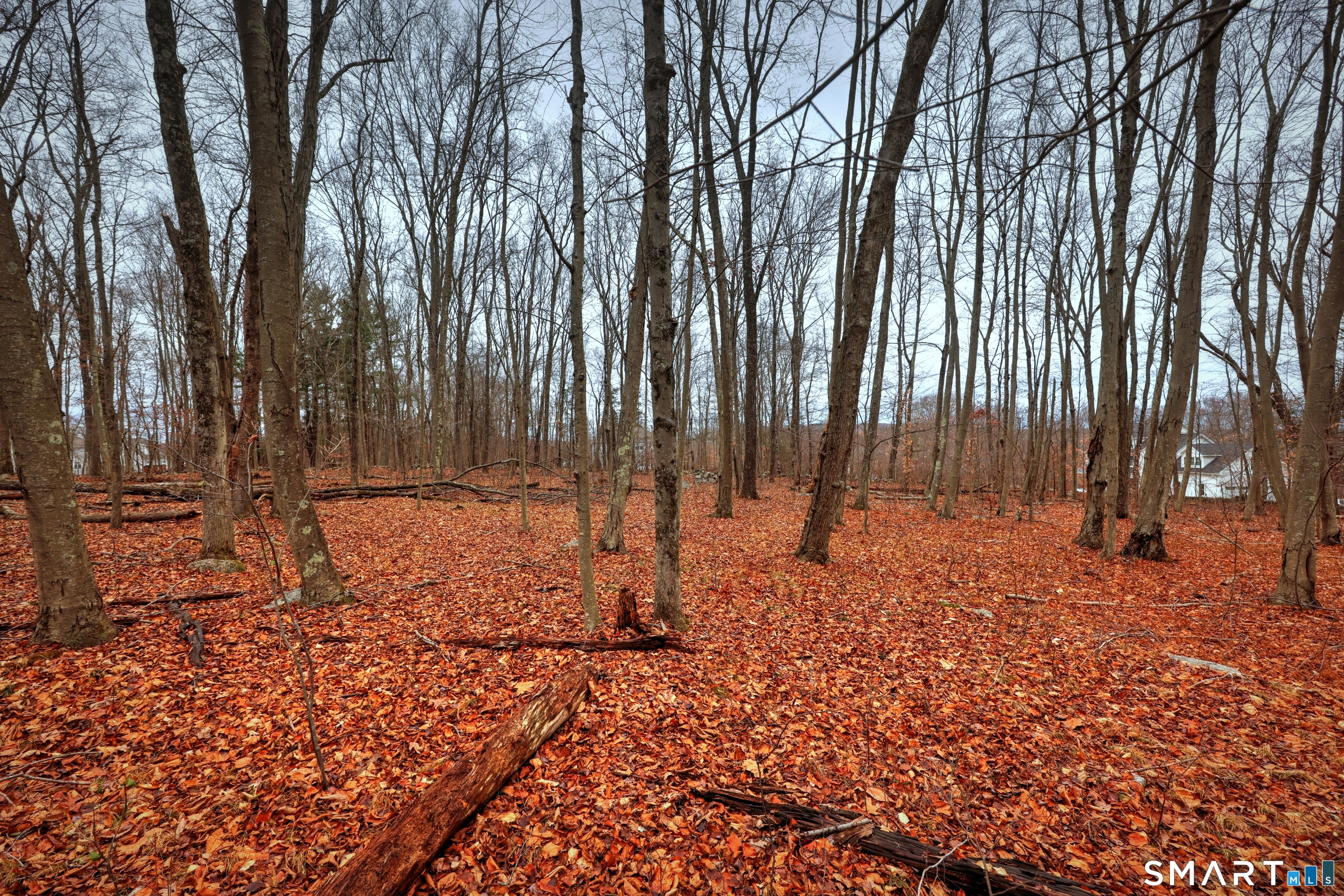 275-291 Hammertown Road Monroe, CT 06468 - Photo 16 of 17