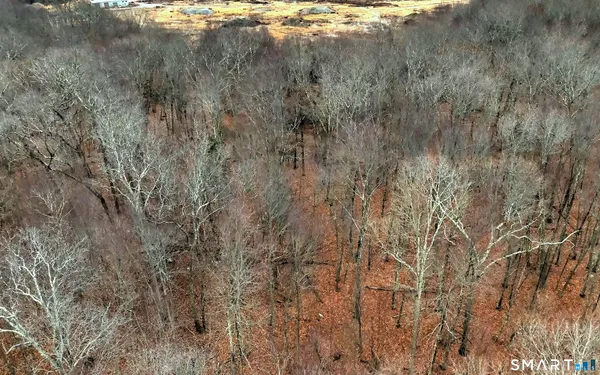 a view of a forest with top of house