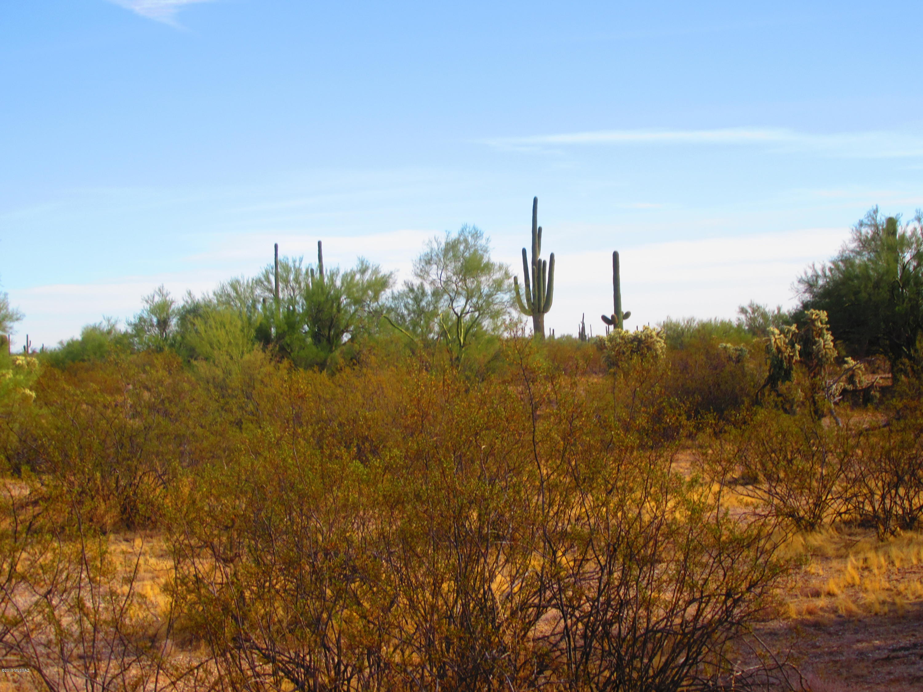 Cattle Tank, Unit 20AC Marana, AZ 85658 - Photo 7 of 17