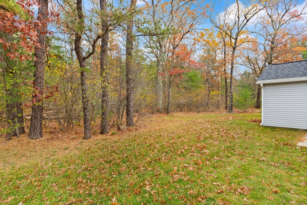 9 Barracks Road, Unit 9 Hudson, MA 01749 - Photo 16 of 16 a view of backyard of house