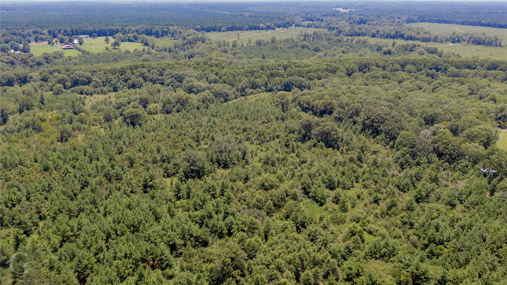 0 Jim Bell Road Campti, LA 71411 - Photo 1 of 1 Gallery Image 1