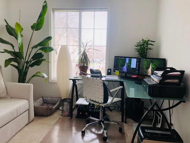 a living room with furniture a potted plant and a window