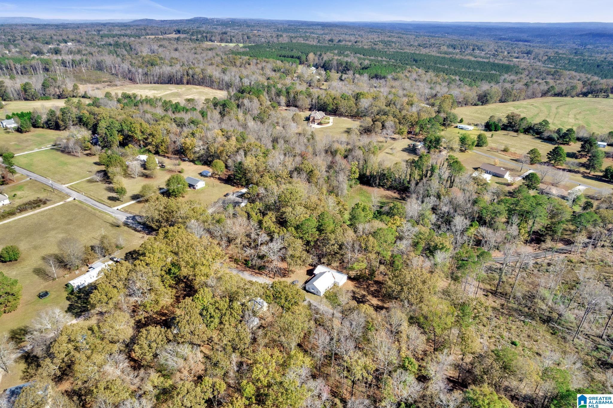 9300 Miller Road Warrior, AL 35180 - Photo 32 of 36