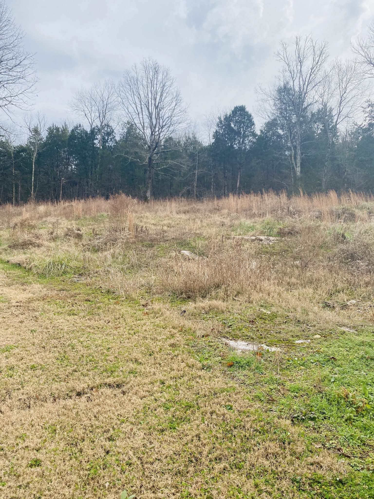 463 Holder Cemetery Road Linden, TN 37096 - Photo 18 of 26 Gallery Image 18