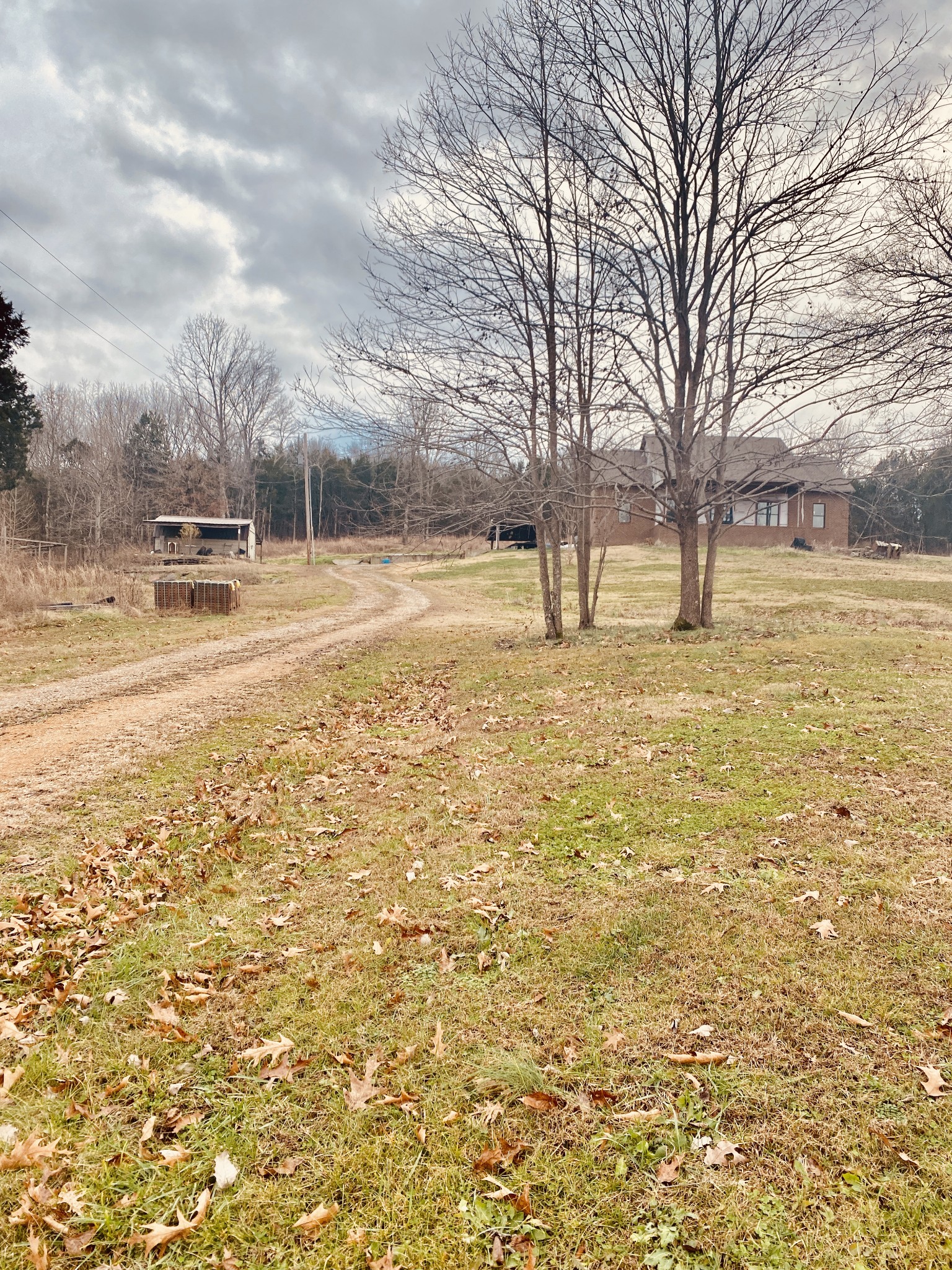 463 Holder Cemetery Road Linden, TN 37096 - Photo 19 of 26 Gallery Image 19