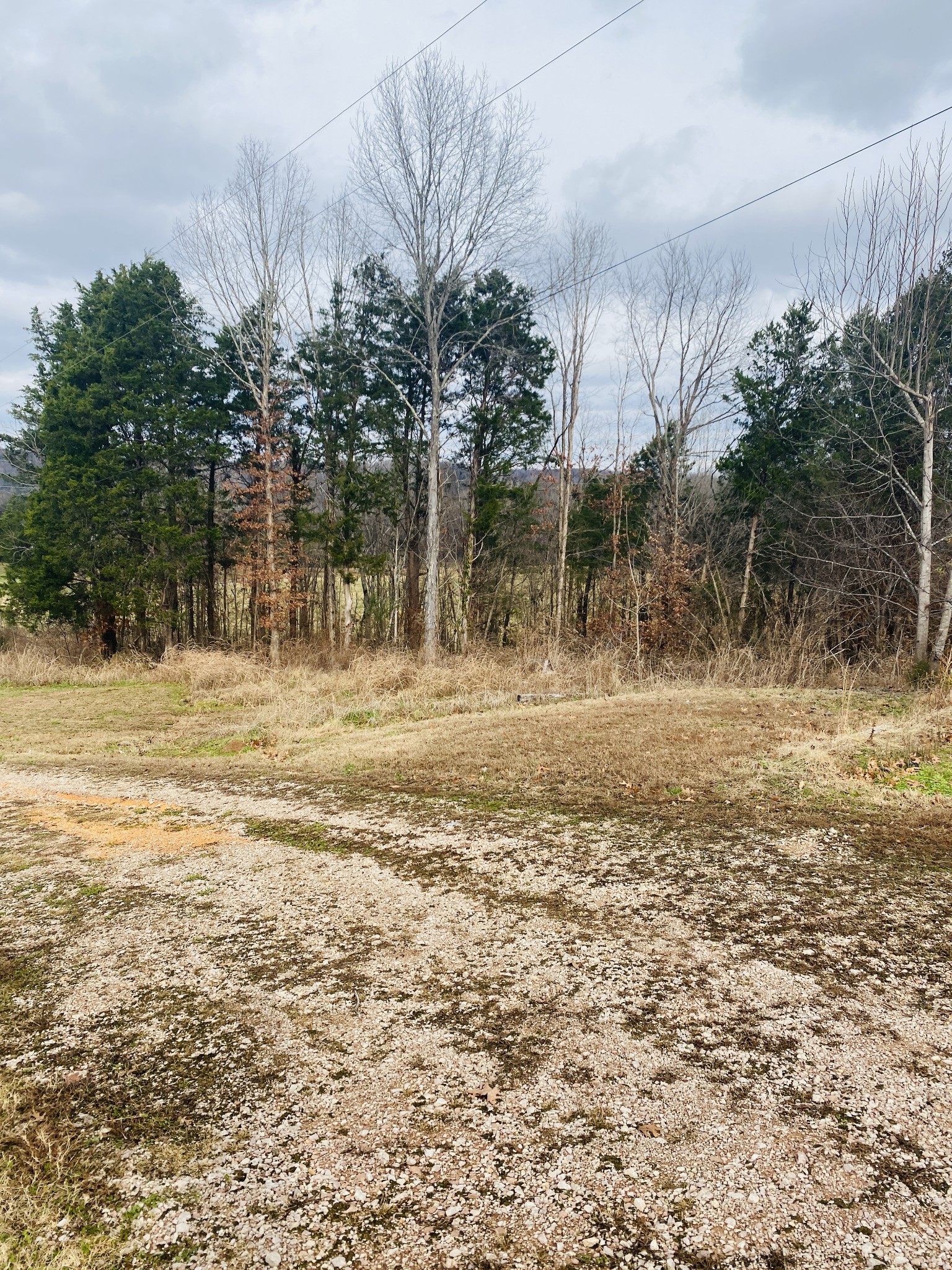 463 Holder Cemetery Road Linden, TN 37096 - Photo 8 of 26 Gallery Image 8