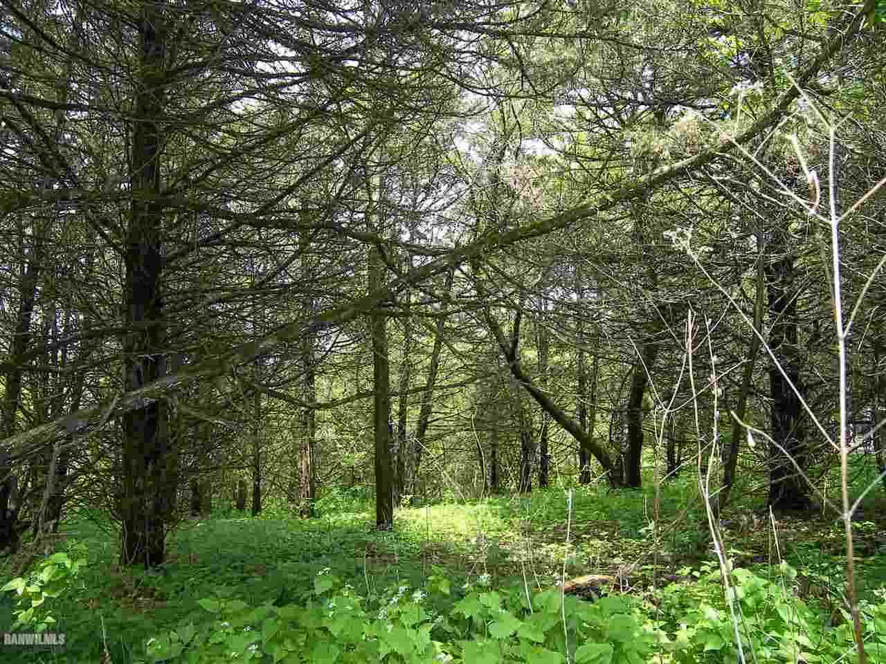 23 High Ridge Run Galena, IL 61036 - Photo 1 of 6 a green field with lots of trees