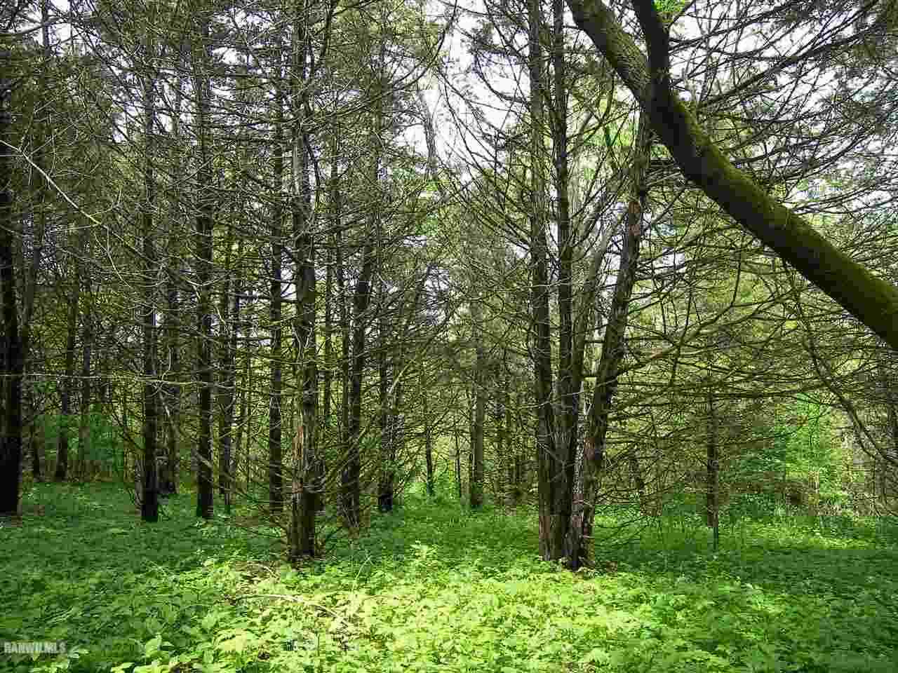 23 High Ridge Run Galena, IL 61036 - Photo 3 of 6 a big yard with lots of green space and deers