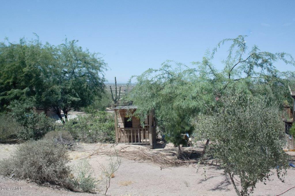 2488 North La Barge Road Apache Junction, AZ 85119 - Photo 24 of 62 LaBarge large trees in front