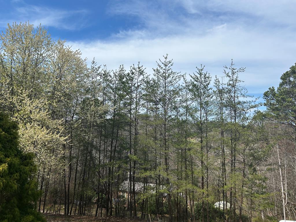 265 Opal Road Young Harris, GA 30582 - Photo 11 of 22 View From front porch