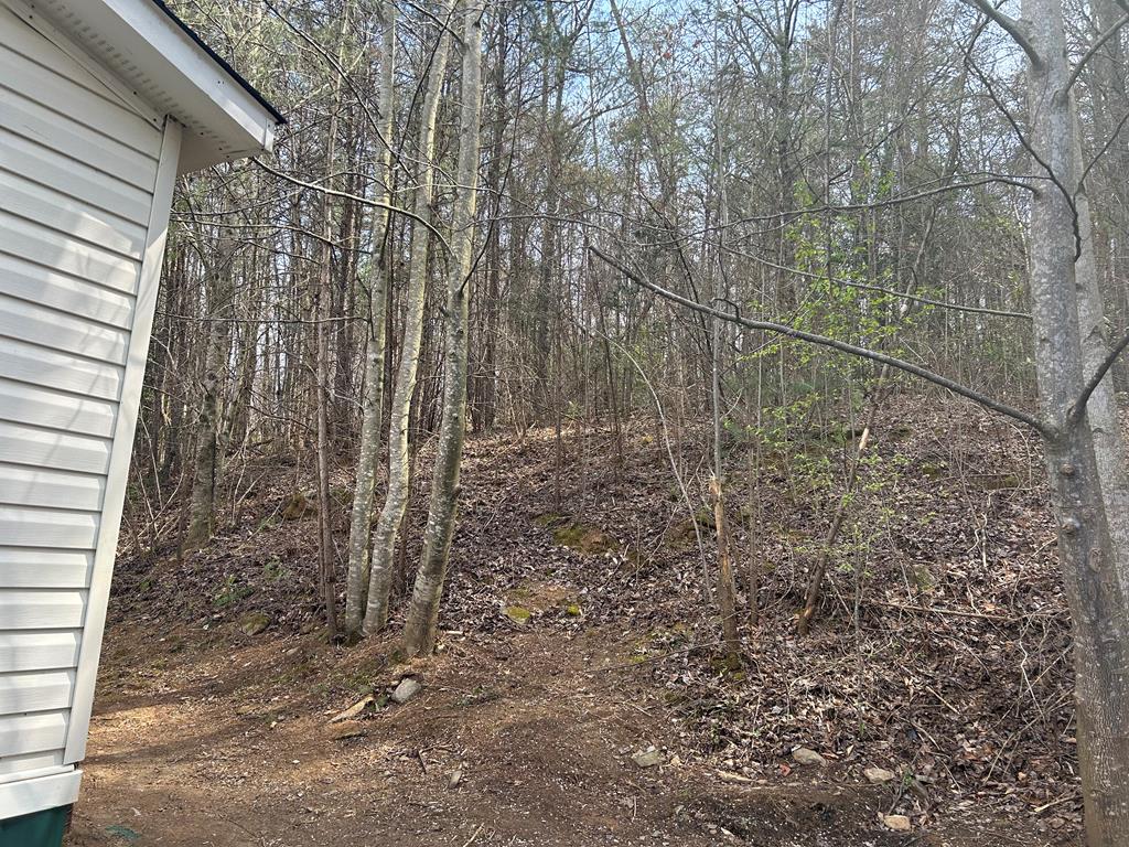 265 Opal Road Young Harris, GA 30582 - Photo 3 of 22 Woods in back of home