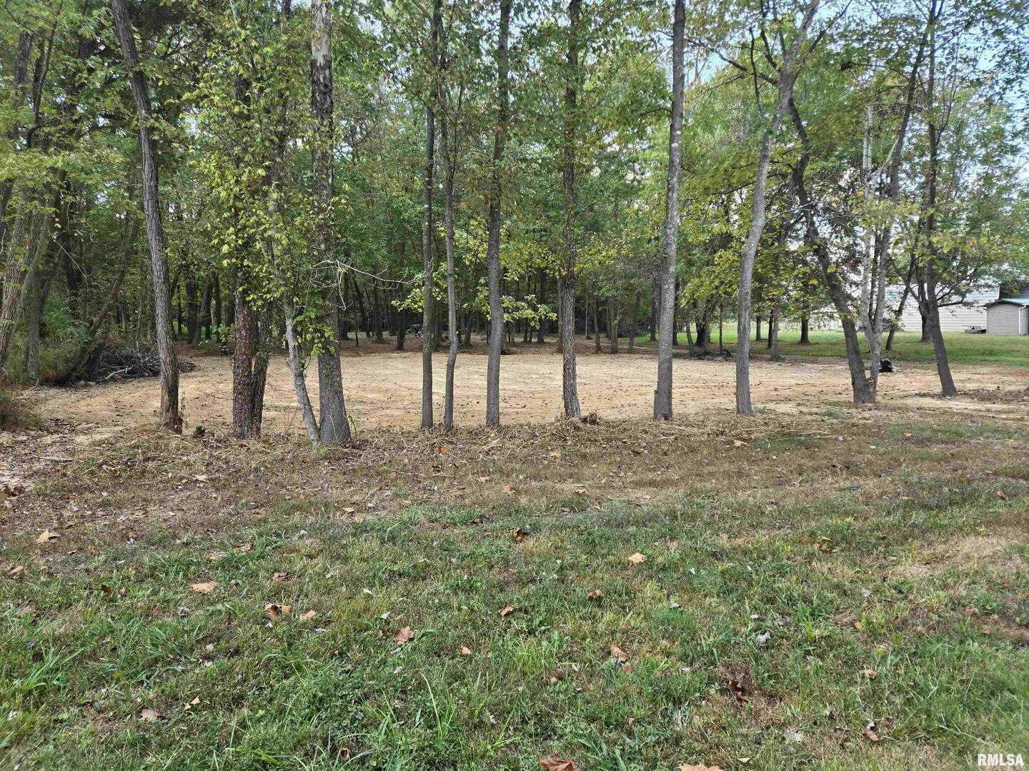 a view of open space with trees
